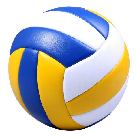 BT Boy’s Volleyball Team Preseason Outlook