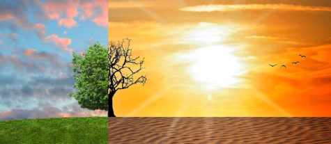 Data Journalism Edition: The Impacts of Global Warming
