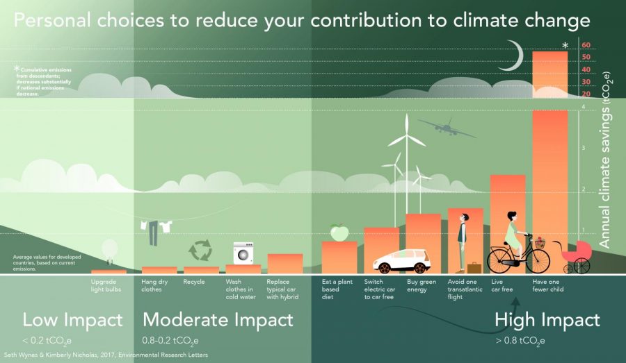 Pictured above are various actions you can take in preventing climate change on a small-scale level. Still, these individual choices will not be our planet's saving grace.